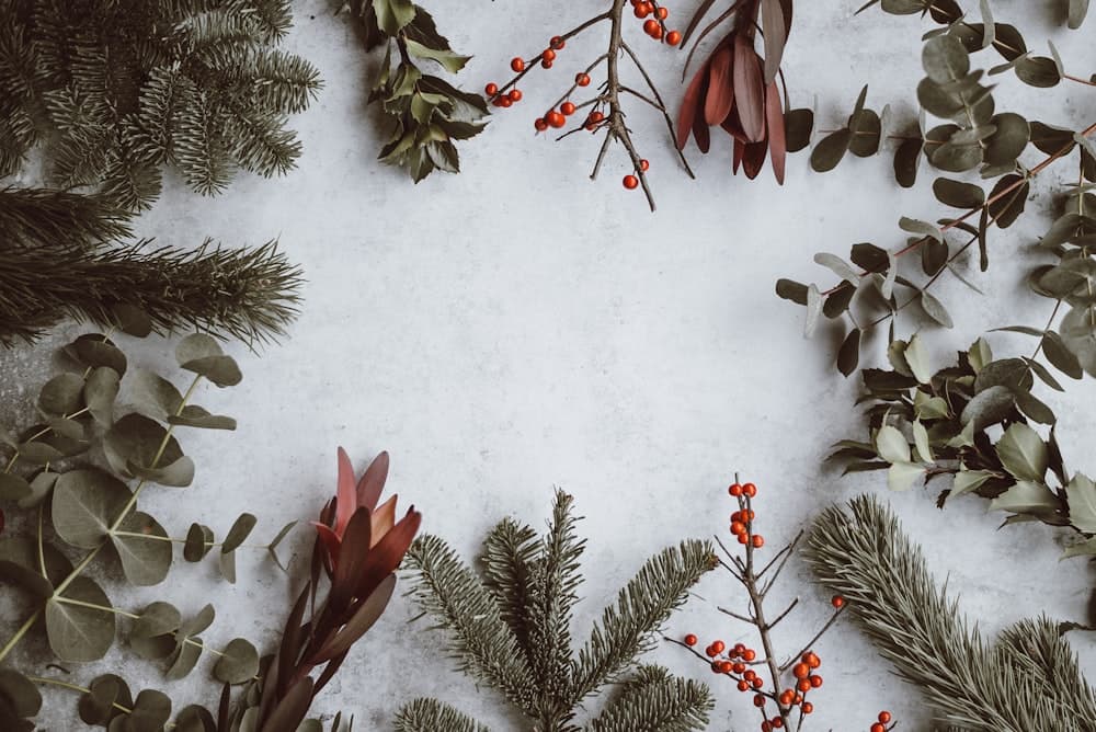 Holiday season wellness and mood support