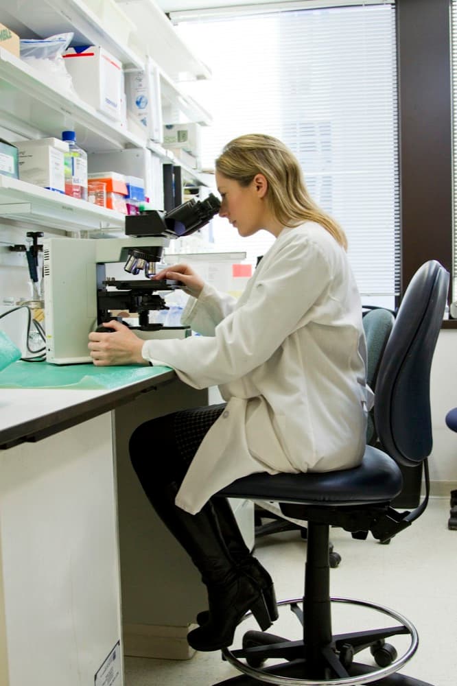 Functional lab panel and wellness blueprint